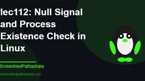 Null Signal and Process Existence Check in Linux, free linux system programming course, free linux device drivers course, free embedded linux course, free embedded systems course
