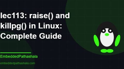 raise() and killpg() in Linux: Complete Guide, free linux system programming course, free linux device drivers course, free embedded linux course, free embedded systems course
