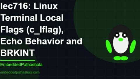 Linux Terminal Local Flags (c_lflag), Echo Behavior and BRKINT, free linux system programming course, free linux device drivers course, free embedded linux course, free embedded systems course