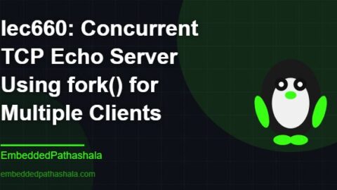 Concurrent TCP Echo Server Using fork() for Multiple Clients, free linux system programming course, free linux device drivers course, free embedded linux course, free embedded systems course