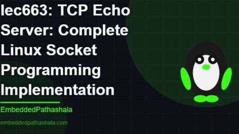 TCP Echo Server: Complete Linux Socket Programming Implementation, free linux system programming course, free linux device drivers course, free embedded linux course, free embedded systems course
