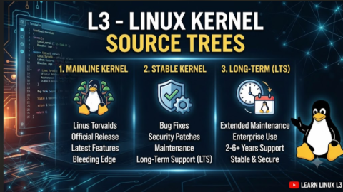 L3-Types of Linux Kernel Source Trees